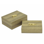 Fascinating Box - Set of 2 - Benzara