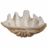 Benzara Medium Clam Shell Accent, White