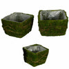 Benzara Moss and Salim Decorative Basket Set, Pack of Three, Green