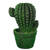 Benzara Potted Evergreen Distressed Saguaro MGO Cactus Plant, Green