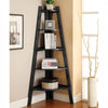 Benzara High and Spacey Stylish Ladder Shelf, Black