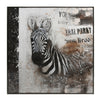 Benzara Canvas Oil Painting Depicting Zebra in Wooden Frame, Multicolor