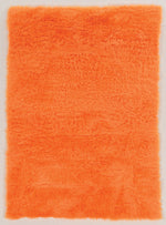 Benzara 7 X 5 Feet Transitional Faux Fur Rug with Suede Leather Backing, Orange