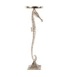 Benzara Aluminum Candle Holder with Sea Horse Structure, Large, Silver