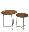 Benzara Round 2 Piece Wooden Accent Table Set with Metal Base, Black and Brown