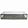 Benzara BM209806 Rectangular Metal and Glass Frame Case with Lift Top Storage, Black