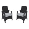 Benzara Wicker Frame Aluminum Chair with Cushion Seat, Set of 2, Brown and Gray