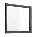 Benzara Transitional Style Rectangular Wooden Frame Dresser Mirror, Brown and Silver