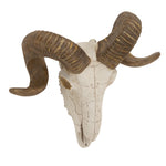Benzara BM216620 Polystone Faux Ram Skull Wall Decor with Metallic Accents, White and Bronze