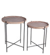 Benzara BM217011 Accent Table with Tray Top and Tubular Metal Legs, Set of 2,Black and Brown