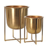 Benzara BM217147 Metal Frame Glass Shape Planter with X Design at Bottom, Set of 2, Gold