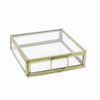Benzara BM218986 Modern Designed Flat Square Top Box with Metal Handle, Gold and Clear