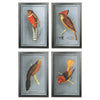 Benzara Rectangular Wooden Wall Art with Cardinal Birds, Assortment of 4, Gray