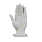 Benzara BM219652 Polyresin Palmistry Hand Sculpture with Engraved Labels, Set of 2, White