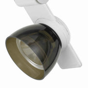 Benzara BM220697 12W Integrated Led Metal Track Fixture with Oval Shape Head,White and Brown
