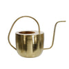 Benzara 11 Inches Metal Frame Watering Can with Handle, Gold