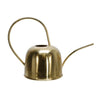 Benzara 11 Inches Dome Shape Metal Frame Watering Can with Handle, Gold