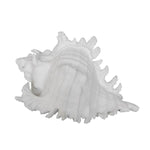 Benzara Polyresin Conch Shell Table Decor with Irregular Edges, White