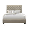 Benzara Fabric Full Bed with Nailhead Trim Button Tufted Headboard, Taupe Gray