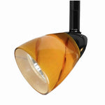 Benzara 50 Watt Track Fixture with Handblown Glass Shade, Black and Orange