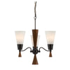 Benzara 3 Bulb Uplight Chandelier with Glass Shade and Resin Accents,White and Brown