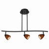 Benzara 3 Light 120V Metal Track Light Fixture with Glass Shade, Black and Brown