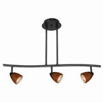 Benzara 3 Light 120V Metal Track Light Fixture with Glass Shade, Black and Brown