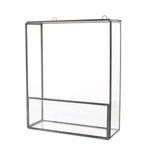 Benzara Rectangular Metal Frame Wall Shelf with Ring Holders, Small, Gray and Clear