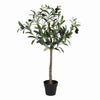 Benzara Modern Style Lifelike Faux Olive Tree in Plastic Pot, Green and Black