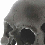 Benzara Modern Style Metal Jawless Skull, Set of 2, Black