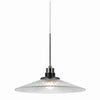 Benzara 9W Dimmable Led Glass Shade Pendant Lighting with Canopy, Black and Clear