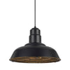 Benzara Metal Round Shade Pendant Lighting with Wire Cage Design Head, Black