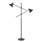 Benzara Metal Body Floor Lamp with 2 Adjustable Arms and Metal Shades, Black