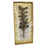 Benzara BM229337 8 Piece Feather Butterfly Accent Decor with Specimen Box, Brown and White