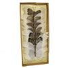 Benzara BM229338 8 Piece Feather Butterfly Accent Decor with Specimen Box, White