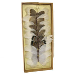 Benzara BM229338 8 Piece Feather Butterfly Accent Decor with Specimen Box, White