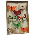 Benzara BM229347 Feather 8 Piece Butterfly Accent Decor with Specimen Box, Multicolor