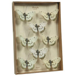 Benzara BM229349 Feather 8 Piece Butterfly Accent Decor with Specimen Box, White and Brown