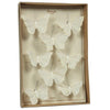 Benzara BM229351 Feather 8 Piece Butterfly Accent Decor with Specimen Box, White
