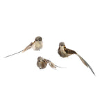 Benzara Feather Sitting Bird Accentdecor with Clips, Set of 3, Brown and White