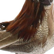 Benzara Feather Sitting Bird Accentdecor with Clips, Set of 3, Brown and Red