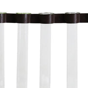 Benzara 5 Metal Frame Support Glass Tube Vase, Bronze and Clear