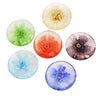 Benzara Glass Enclave Flowers, Assortment of 6, Multicolor