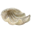 Benzara Seashell Design Cement Accent decor, Antique White