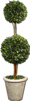 Uttermost 60106 Two Sphere Topiary Preserved Boxwood