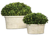 Uttermost 60107 Oval Domes Preserved Boxwood Set/2