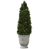 Uttermost 60111 Boxwood Cone Topiary