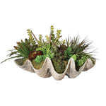 Uttermost 60116 Sea Coast Succulents