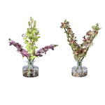 Malin Orchid Bud Vases