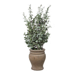 Uttermost 60150 Tassos Potted Olive